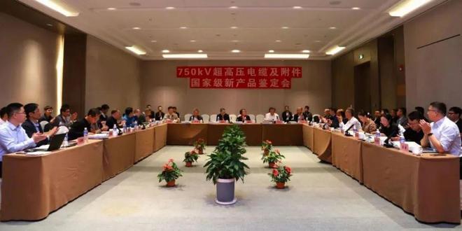 【中国线缆名人堂】‌青岛汉河集团股份有限公司董事局主席张思夏(图9)