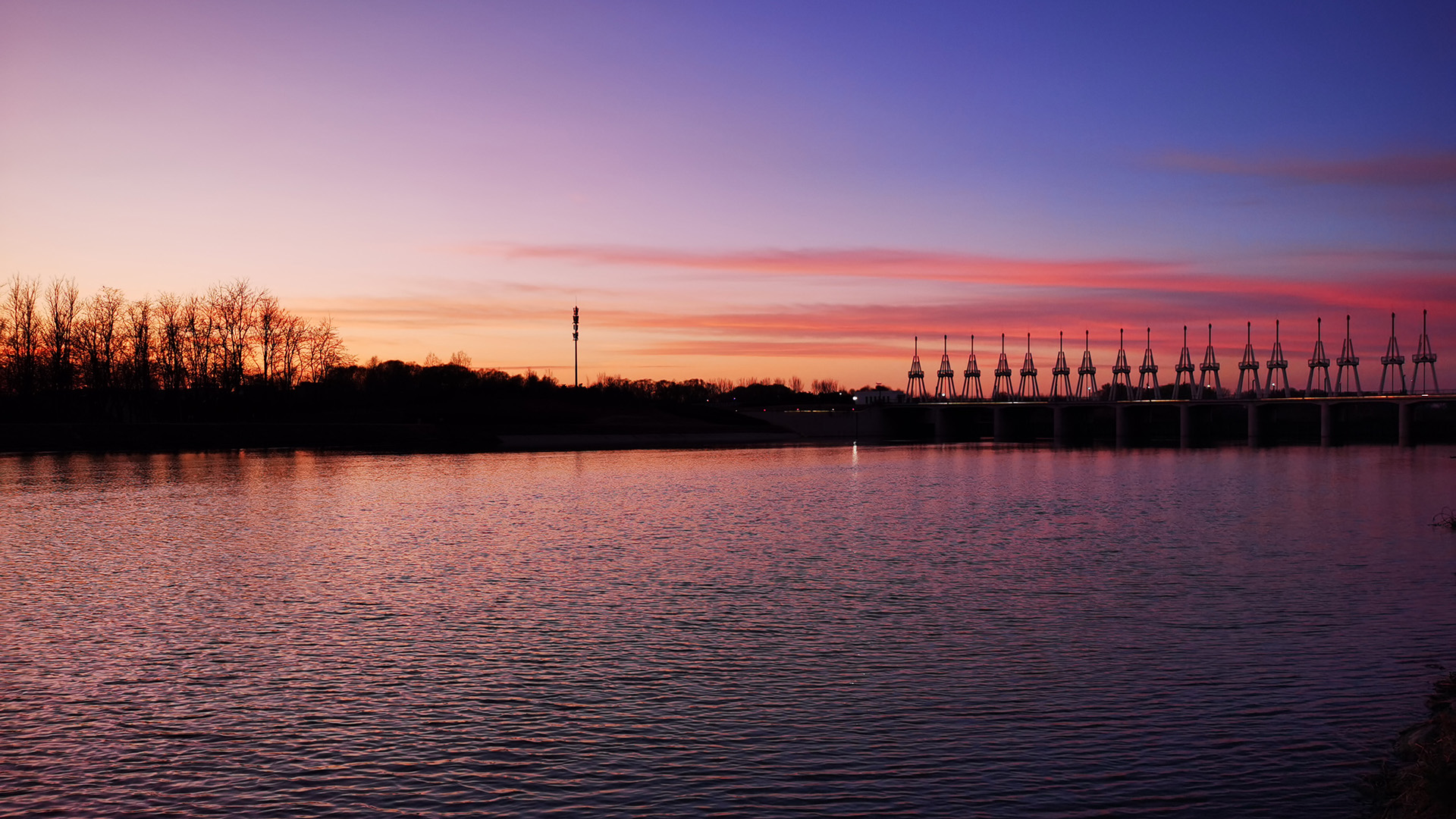 向光而行的他们在2024的逆流中破局新生(图2)