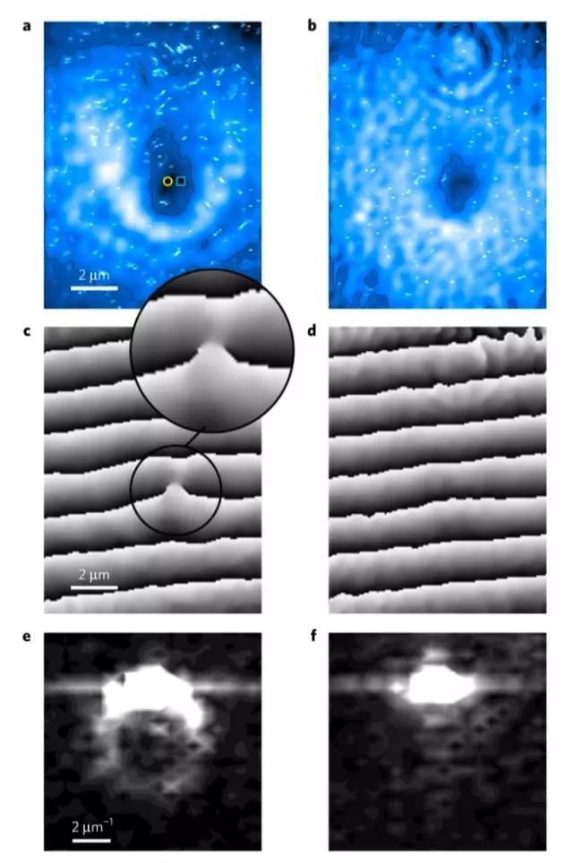 成都【邦泰藏锦】售楼部电话_房价动态（实时更新）_在售房源_户型面积（线上查询）_年末特惠活动