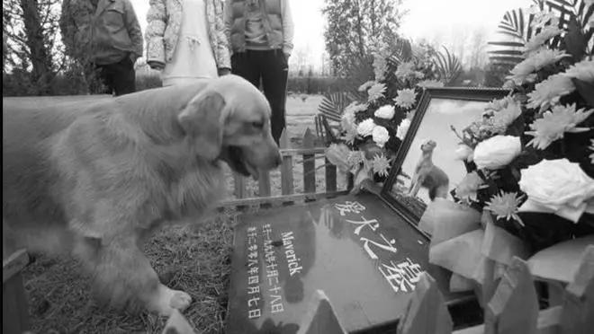 球盟会入口：看着不起眼却悄悄赚大钱的 5 个行业(图3)