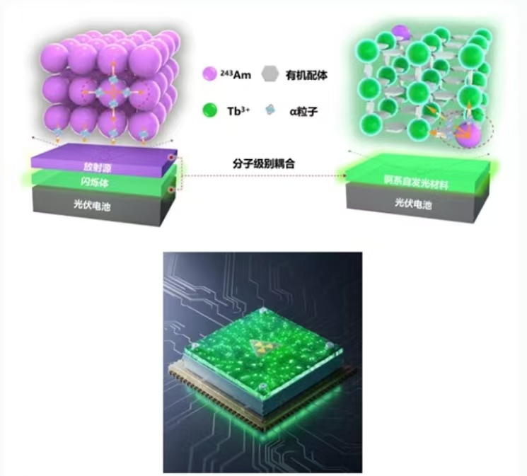 “人造太阳” “基因编辑猪”！多个成都团队参与项目入选“中国