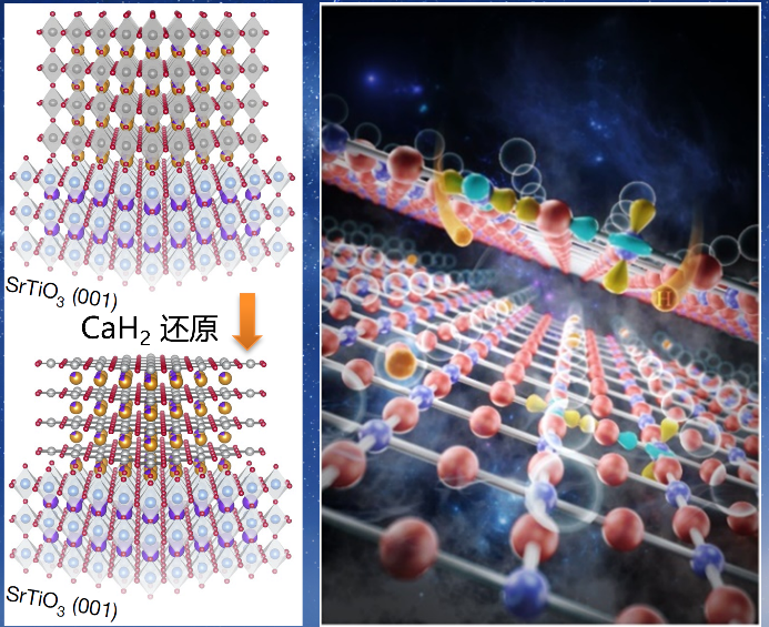 杭州养犬管理条例（遛狗时间+违规处罚）