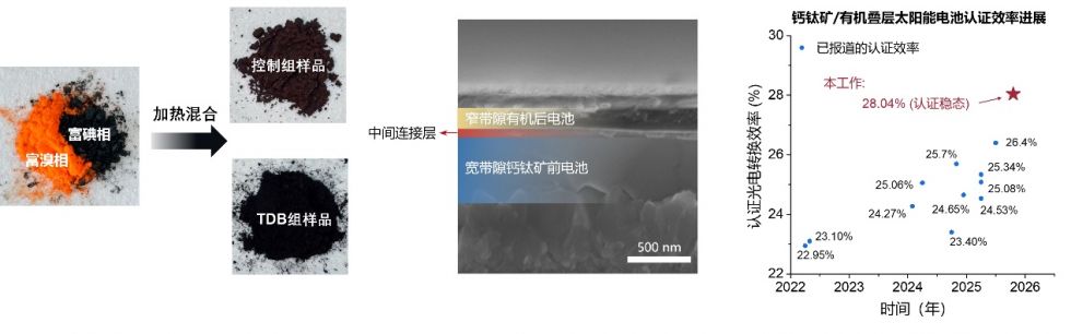 2804%！我国团队刷新钙钛矿-有机叠层太阳能电池效率纪录(图2)